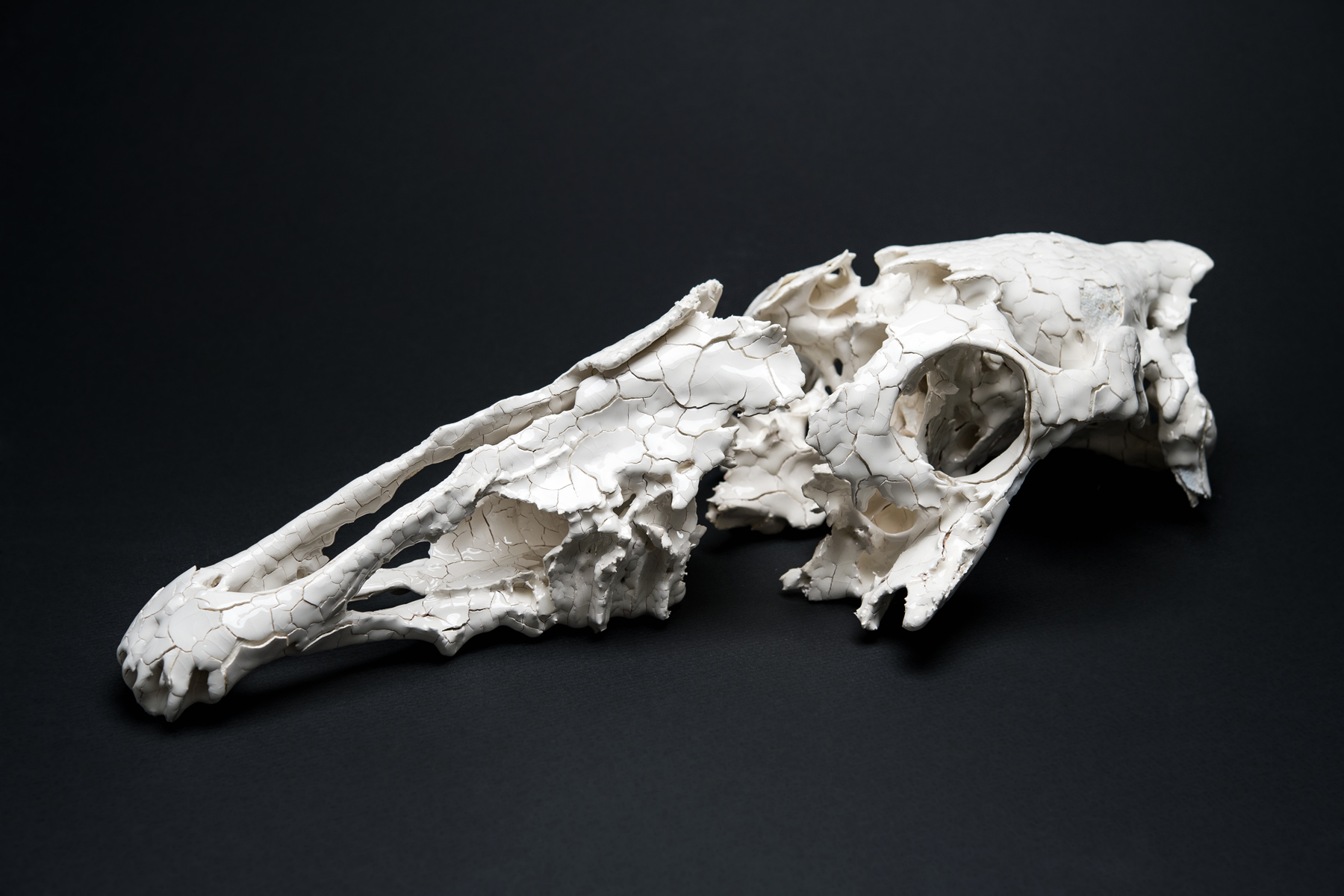DElbourne0914_gy_063. Remains II.jpg