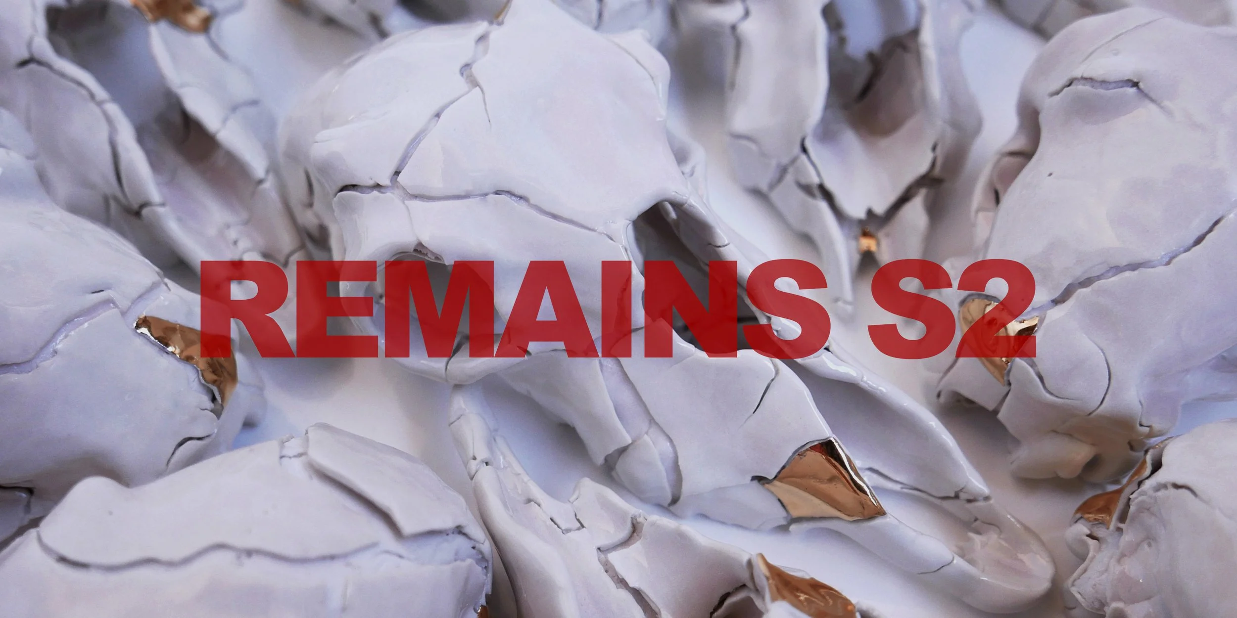 Remains Series 2 by Dan Elborne