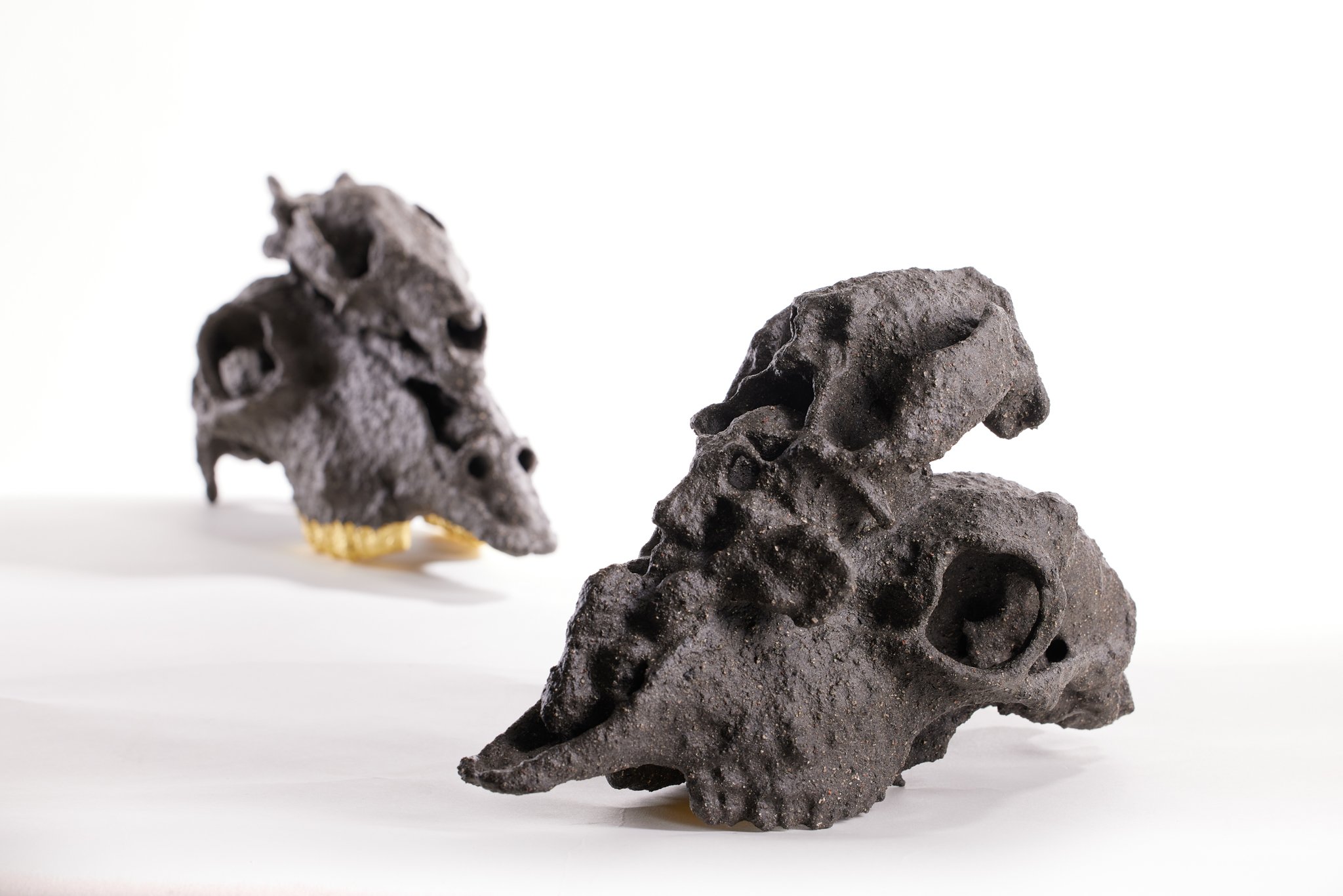 Remains S4.1 & S4.2 (photo 2), Dan Elborne, Animal bone, ash, ceramic reclaim, lead & 22k gold leaf. Photo by Aaron Mcauley. Courtesy of the artist and Onespace Gallery Brisbane.jpg