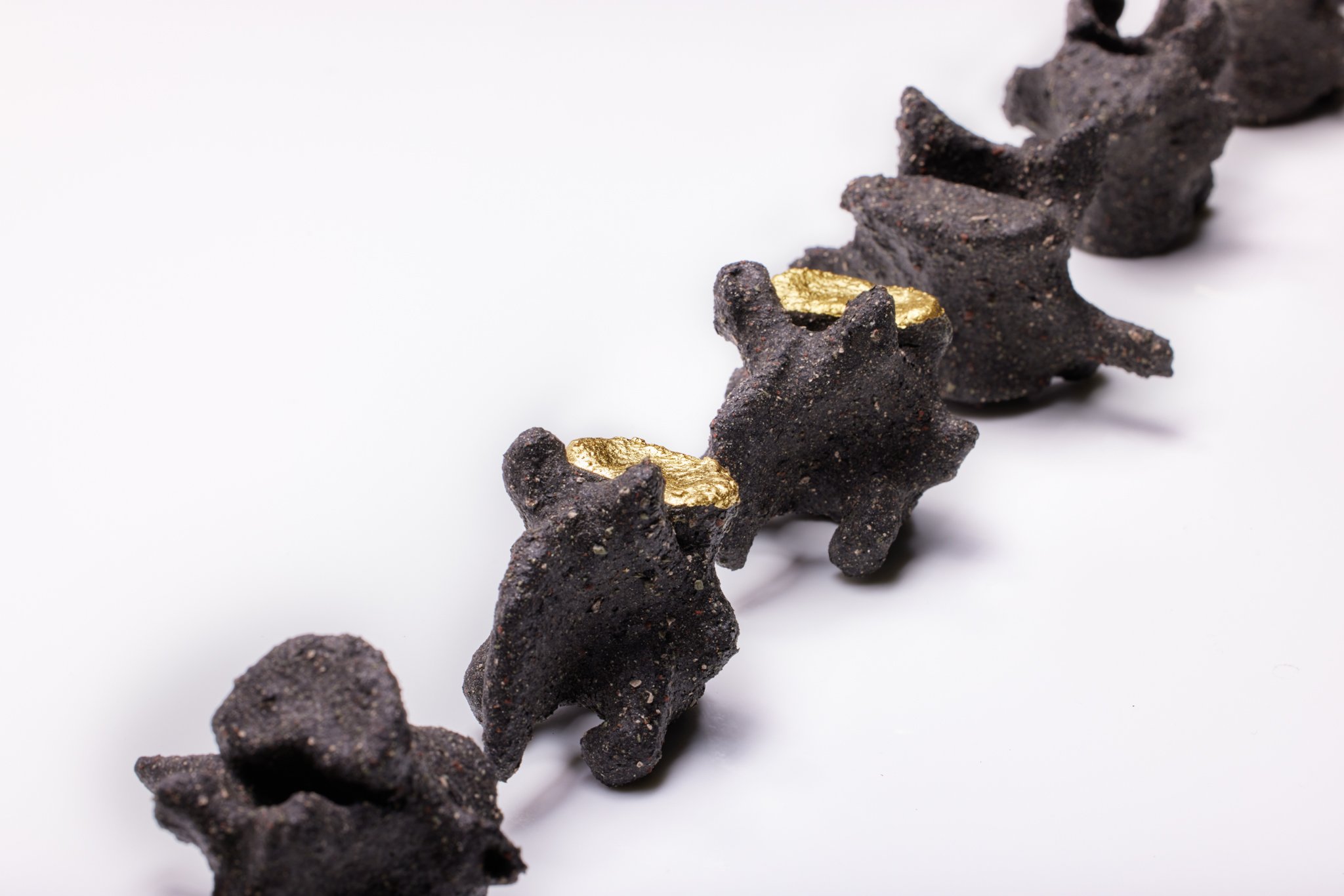 Remains S4.3-S4.12 (detail 1), Dan Elborne, Animal bone, ash, ceramic reclaim, lead & 22k gold leaf. Photo by Aaron Mcauley. Courtesy of the artist and Onespace Gallery Brisbane.jpg