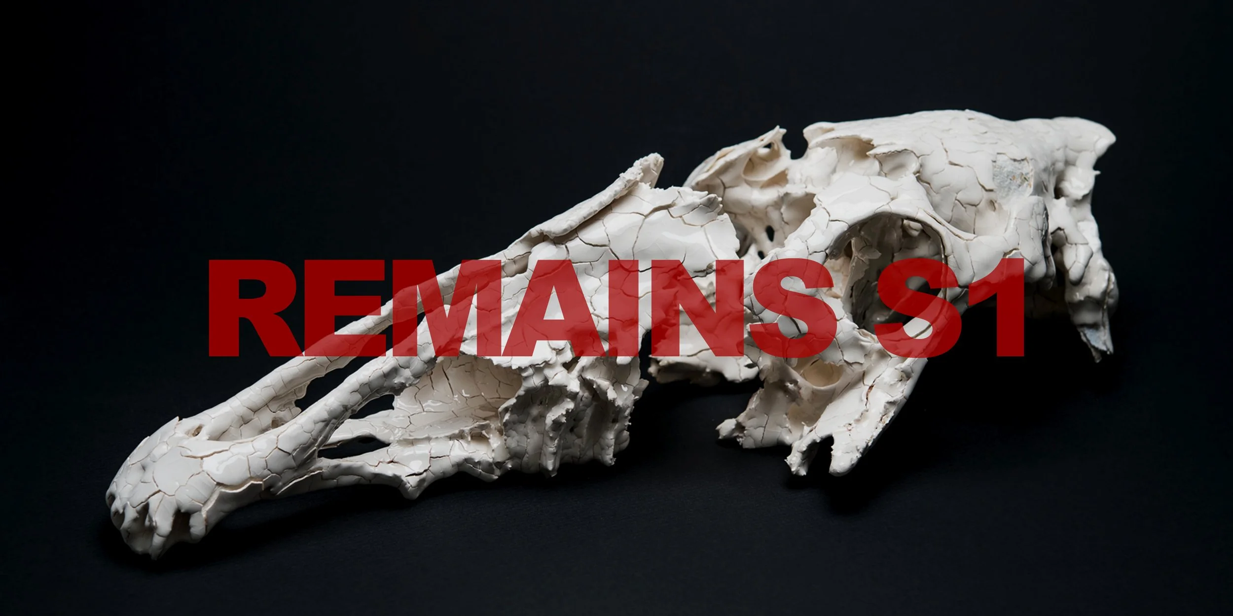 Remains Series 1 by Dan Elborne