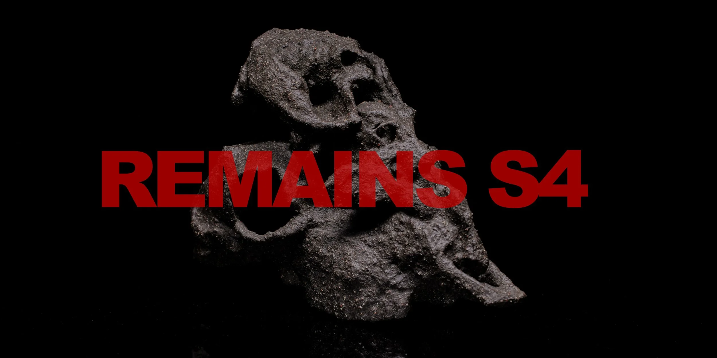 Remains Series 4 by Dan Elborne