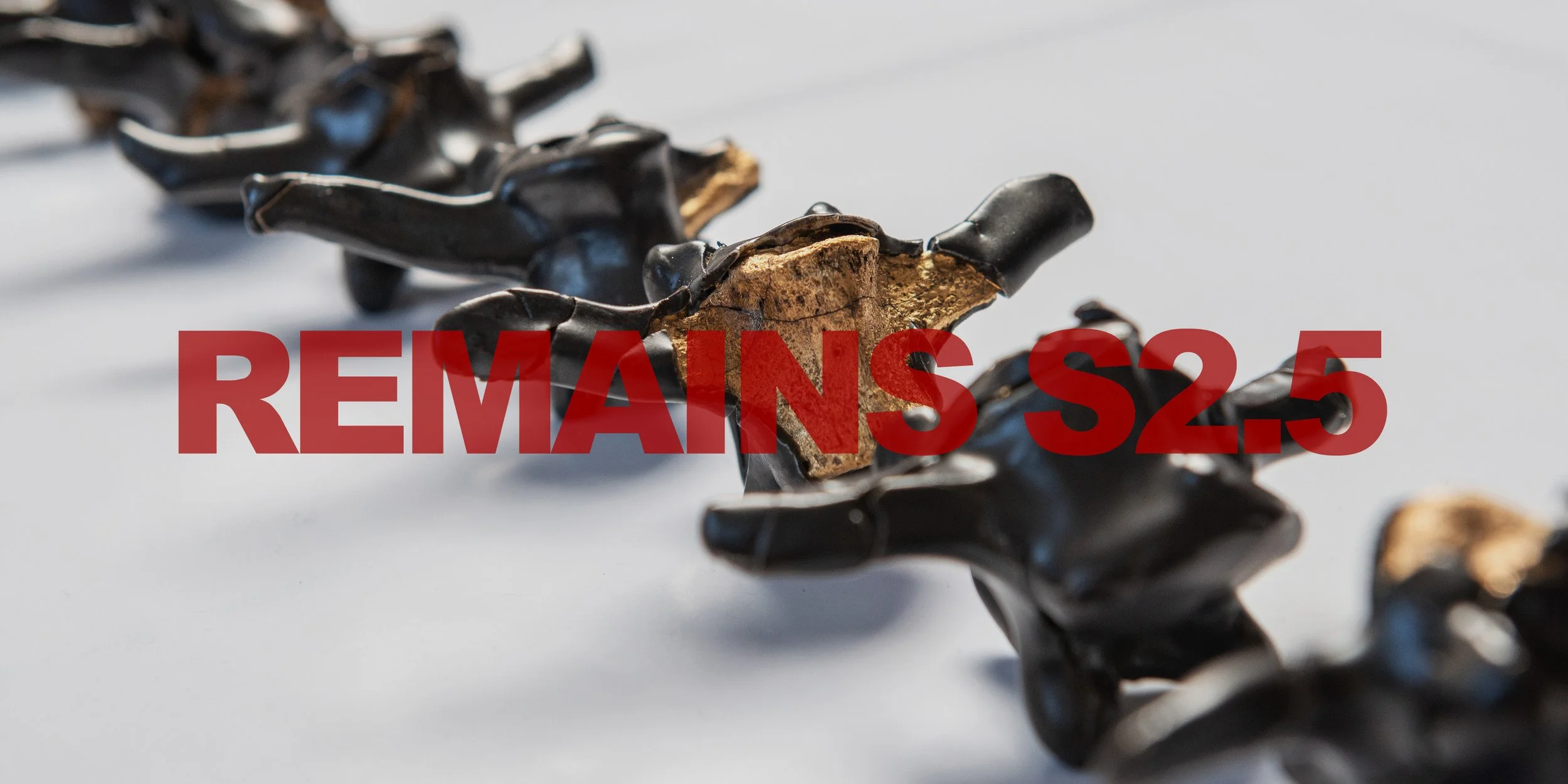 Remains Series 2.5 by Dan Elborne