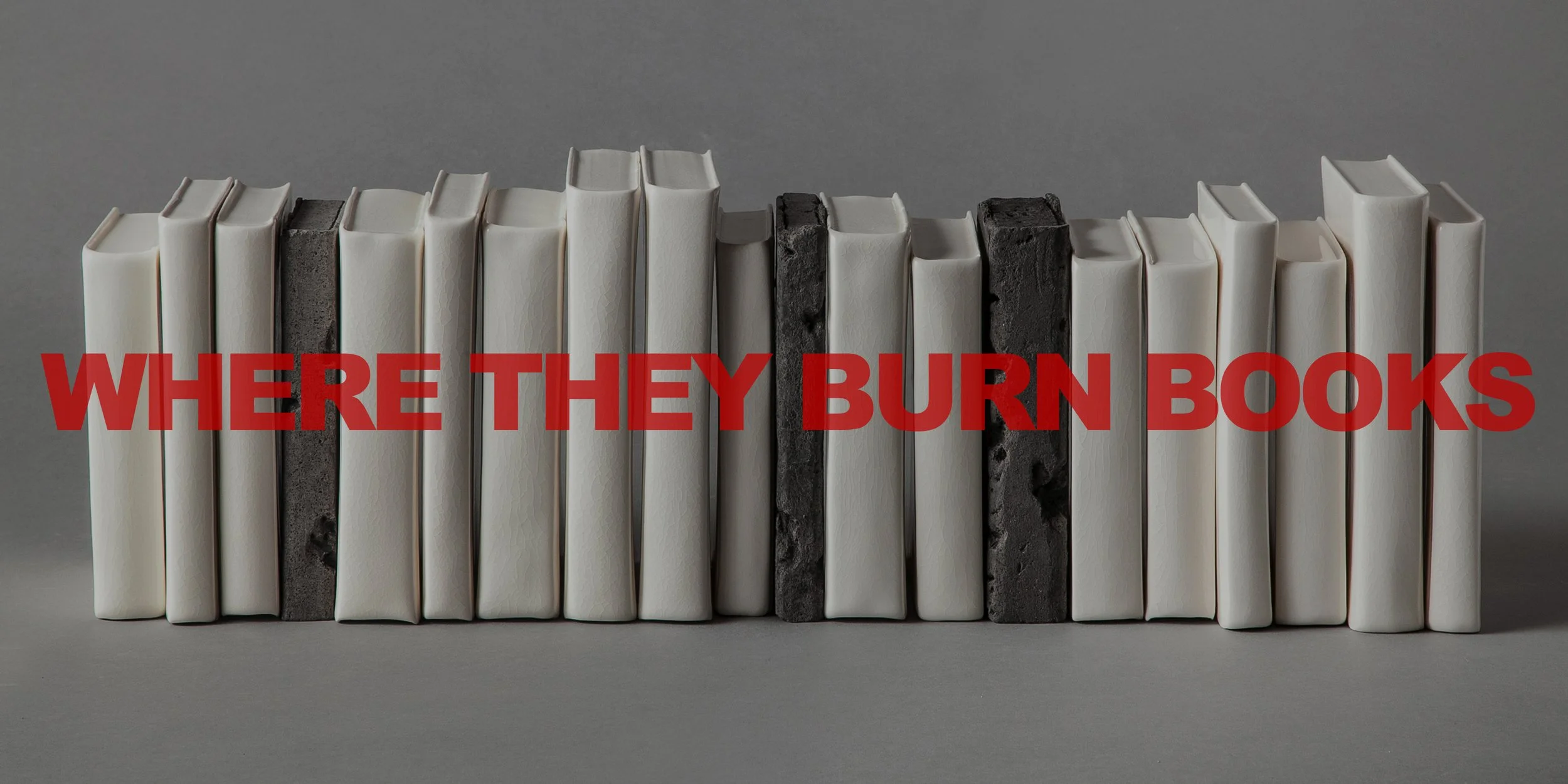 Where They Burn Books by Dan Elborne