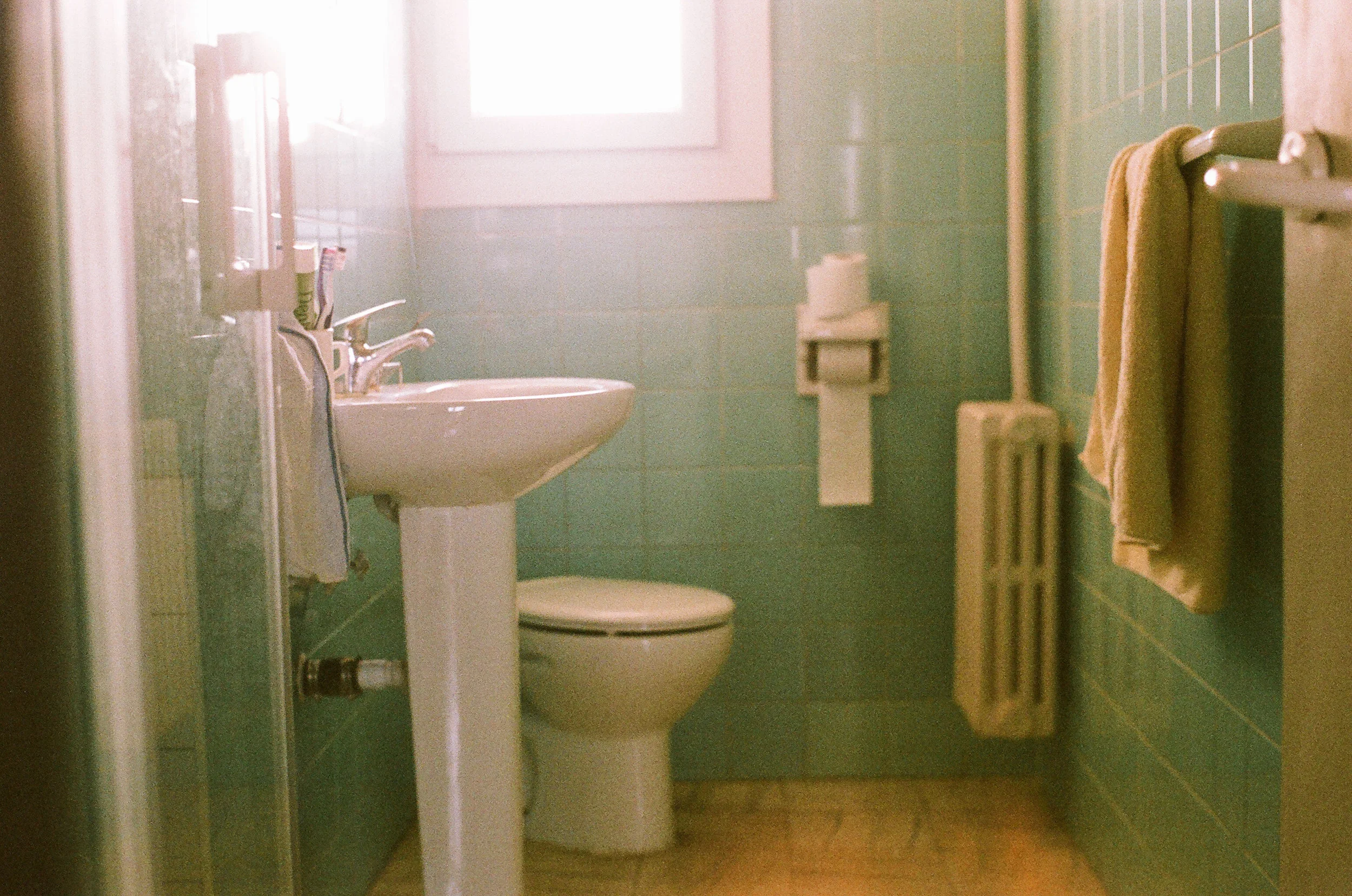 00390026.jpg