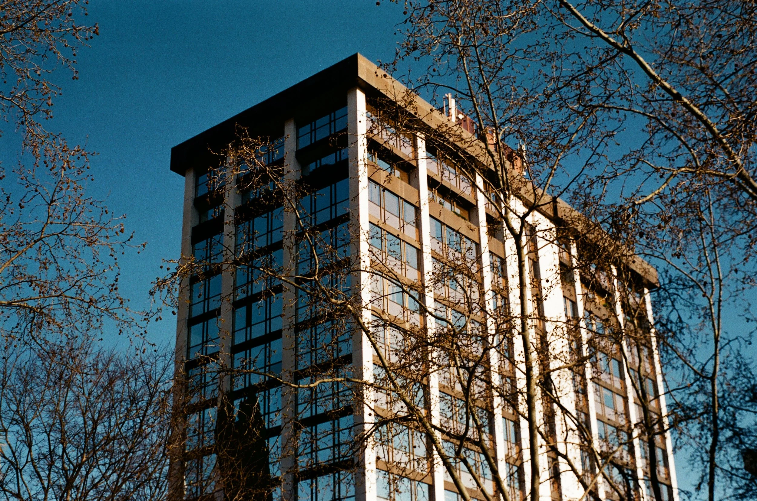 00400035.JPG