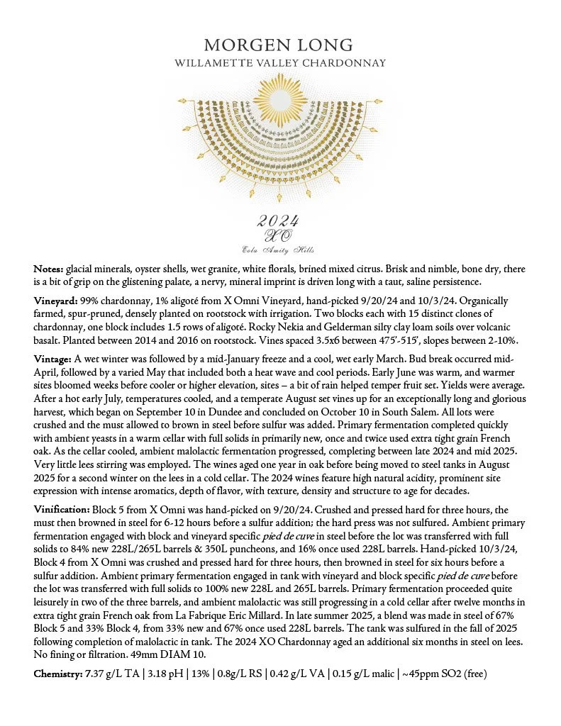 2024 XO.jpeg