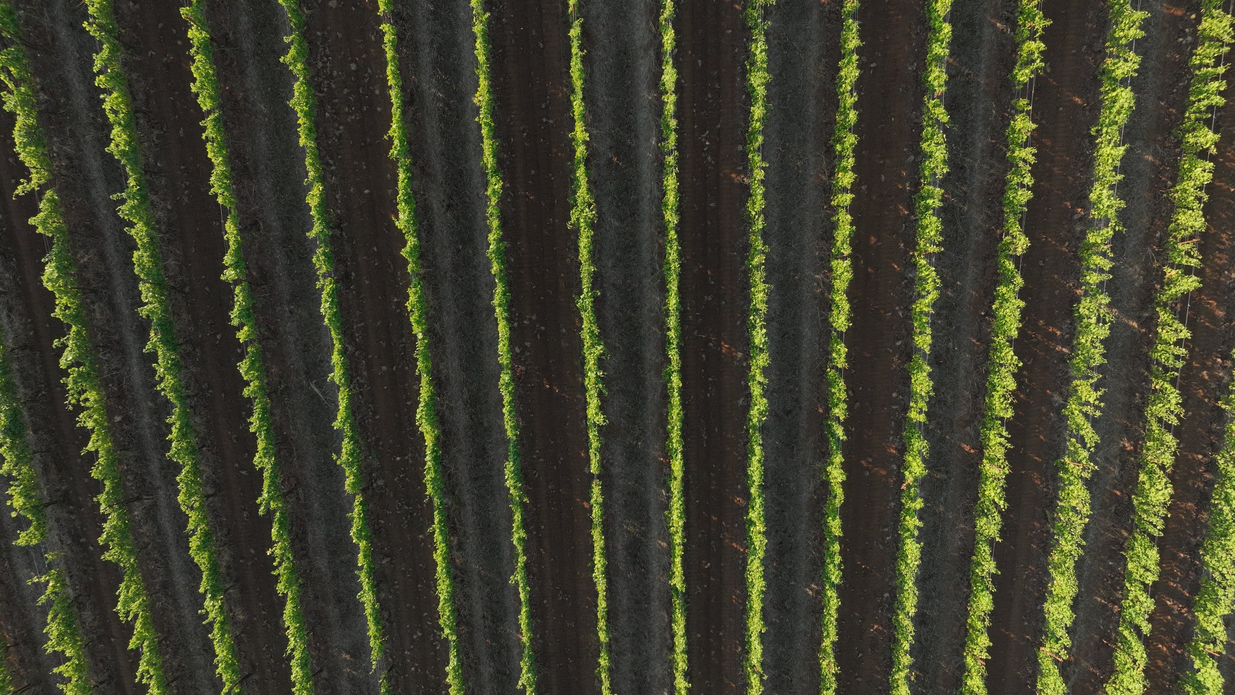31AUG24_MORGEN_LONG_DRONE_00113.JPG