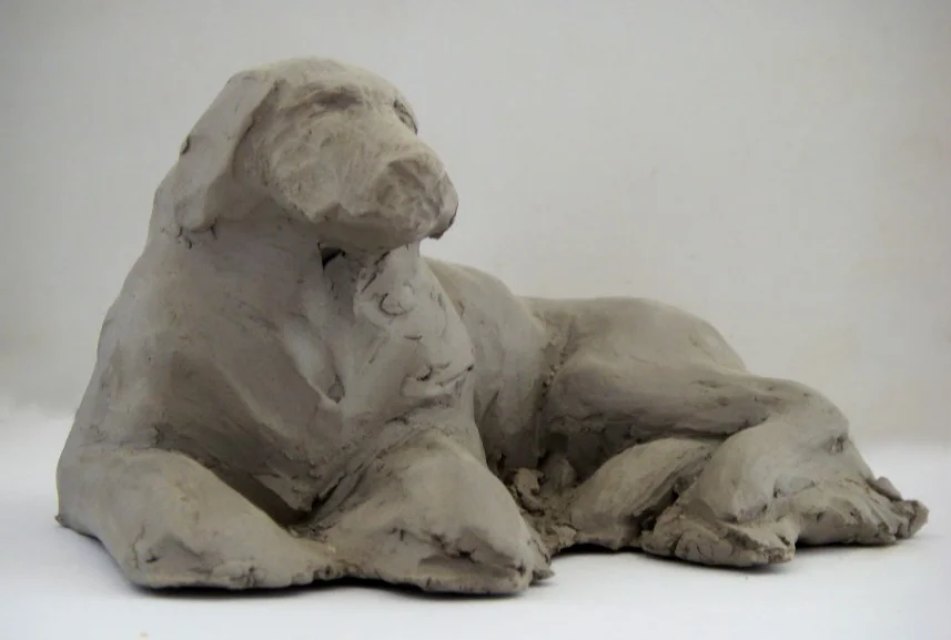 labrador_1.jpg