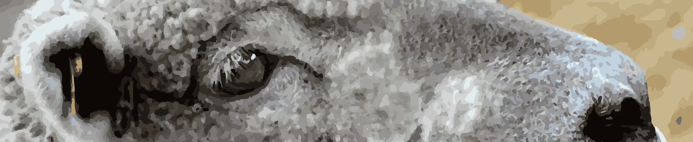 Banner-Image.jpg