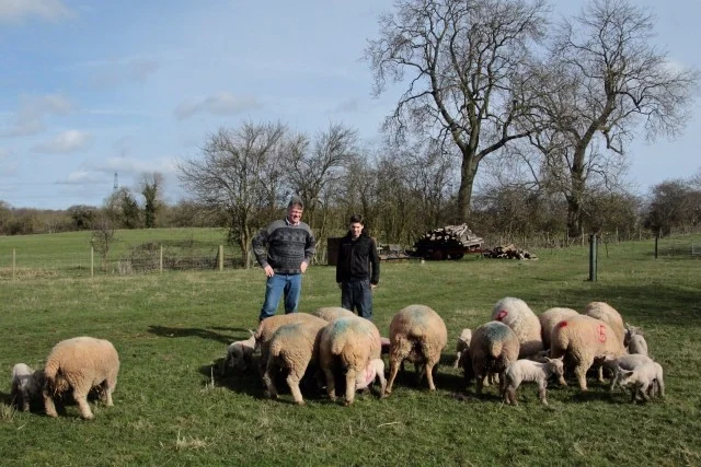 Southdowns - a source of both Pride and Profit for the Smallholder