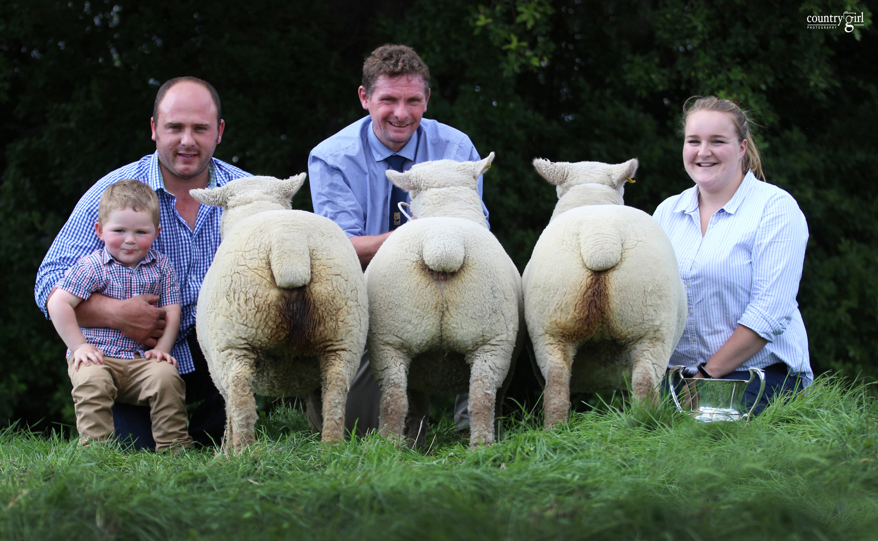 Goodwood top three shearling ewes