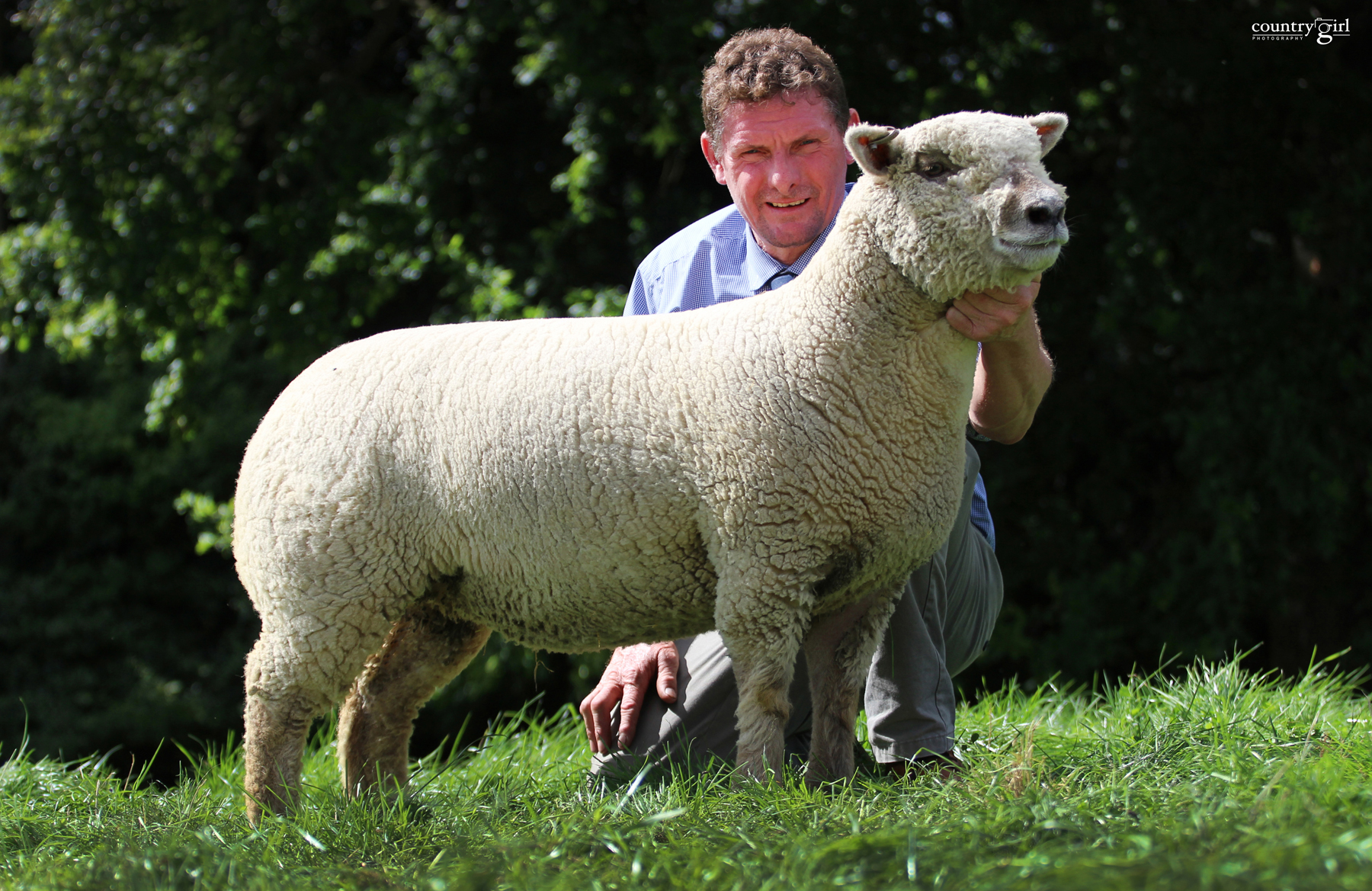 2017 Worcester Lot 127-Goodwood Daffodil 16-07917 sold for 720gns