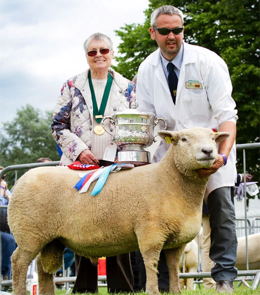 Champion-Nationals2018.jpg