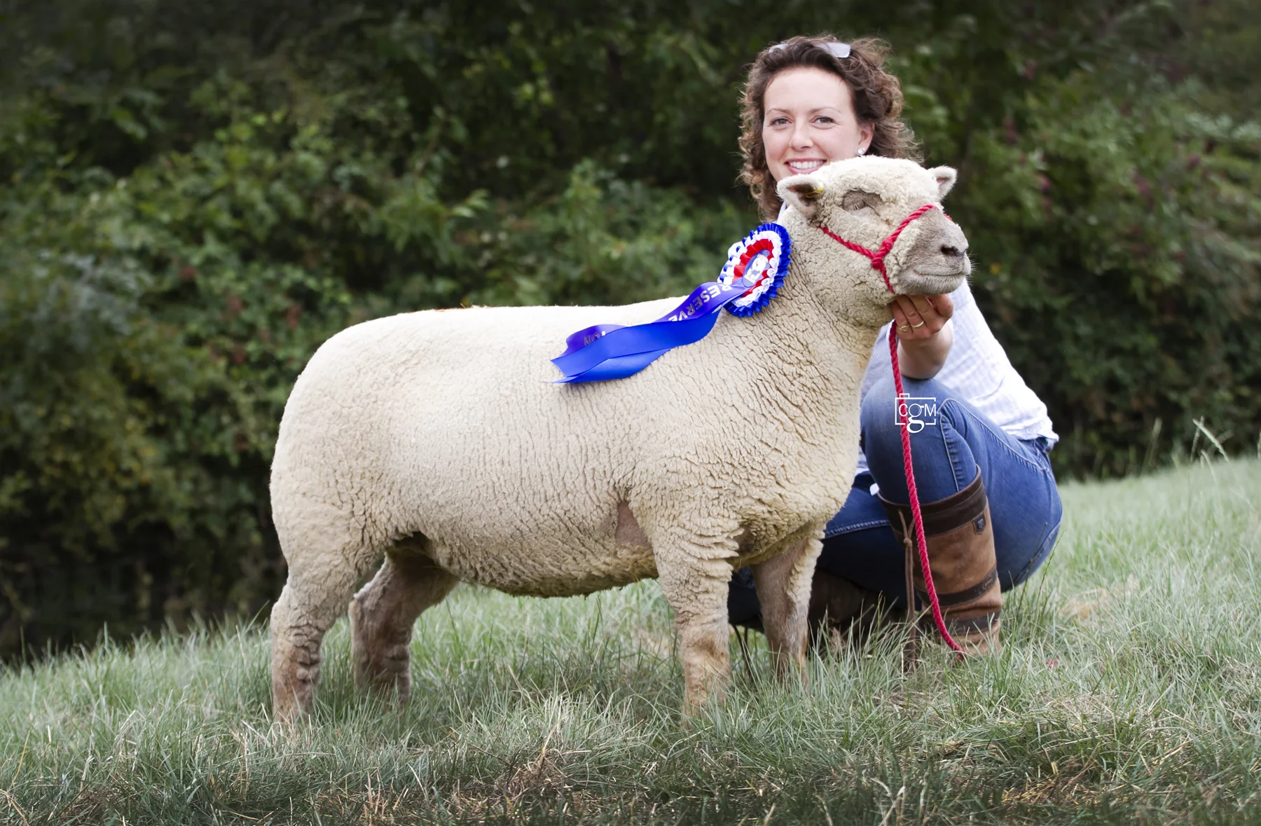 Selling for 480gns was the female and reserve overall champion, a shearling ewe from E Sargent, East Sussex. 