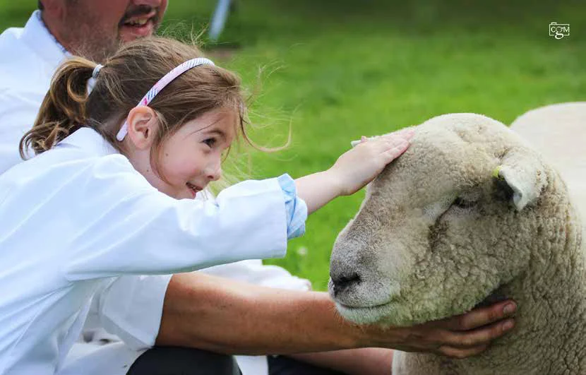 Alex’s granddaughter Sophie is the fourth generation of the family to be involved with the breed, following the foundation of her own Littlebrook flock last year.