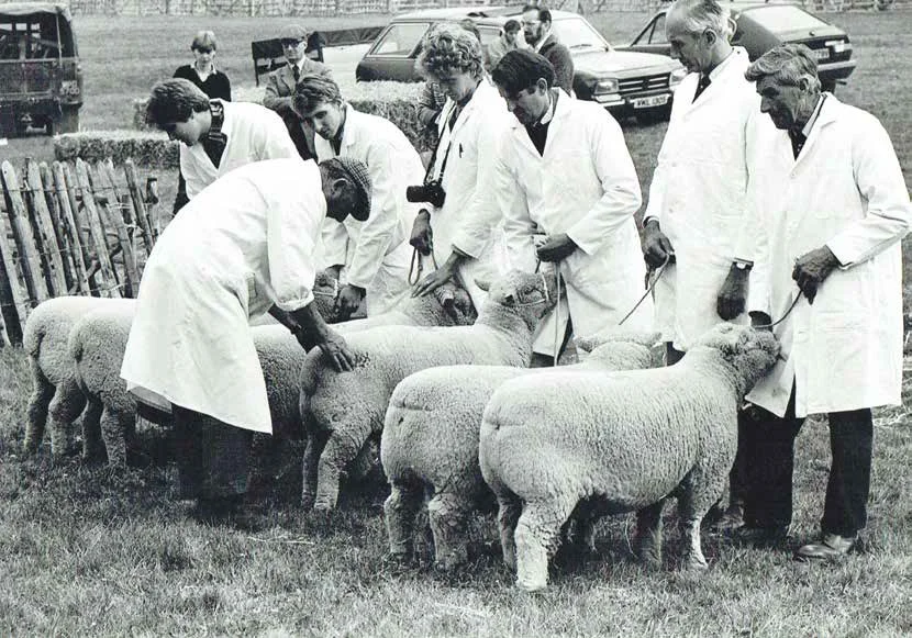 Frank Grantham judging at Findon Fair in the early 1980s