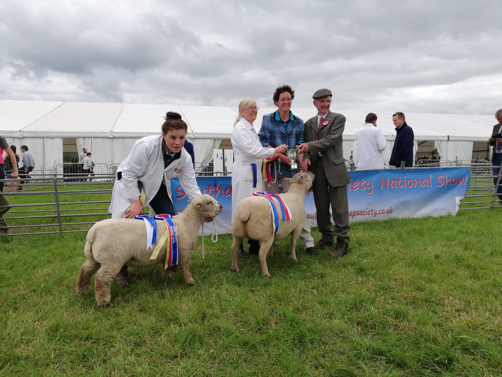 2019 Southdown Sheep Society National Show at Royal Cheshire Show