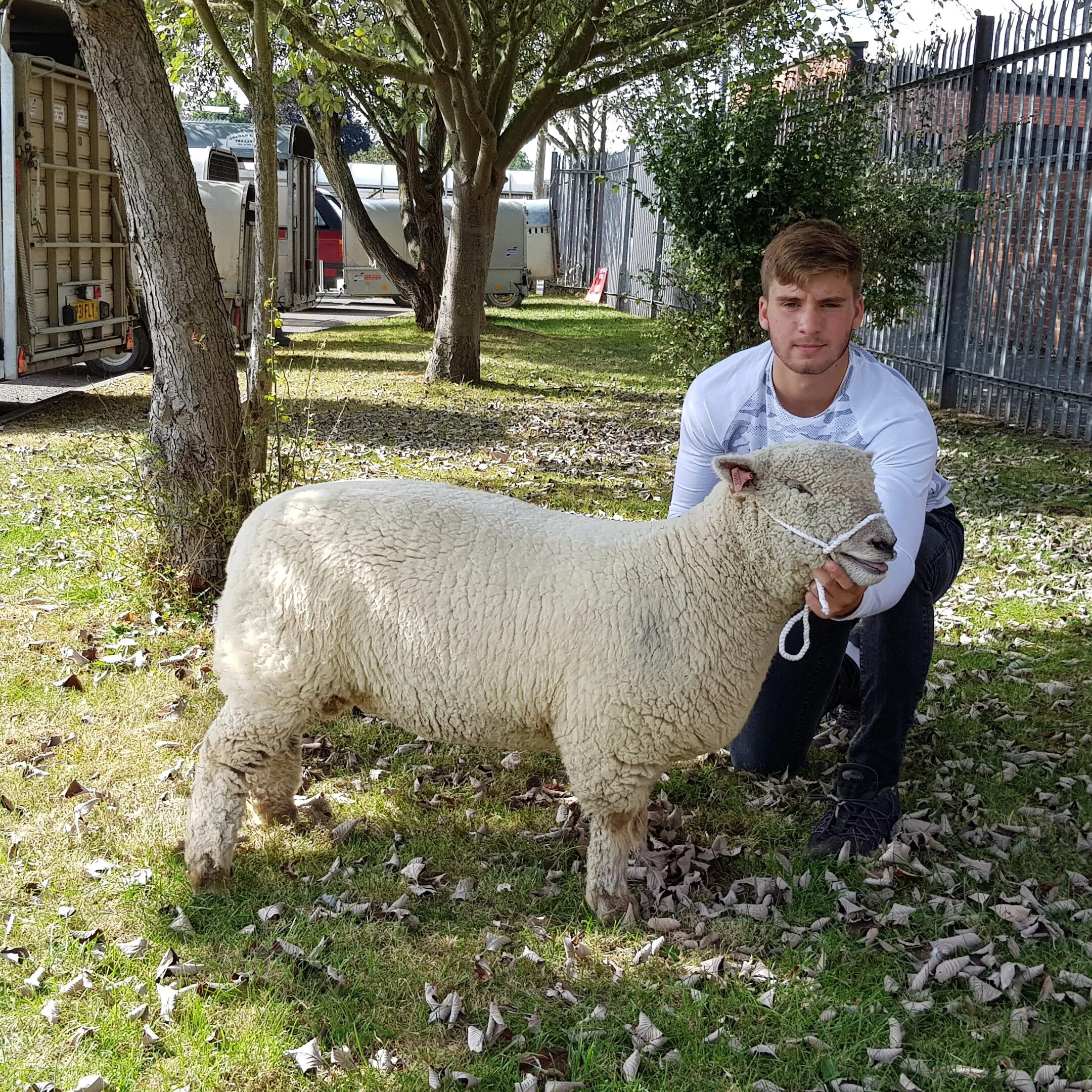 G & M Sparke’s ewe lamb, top price of the day.