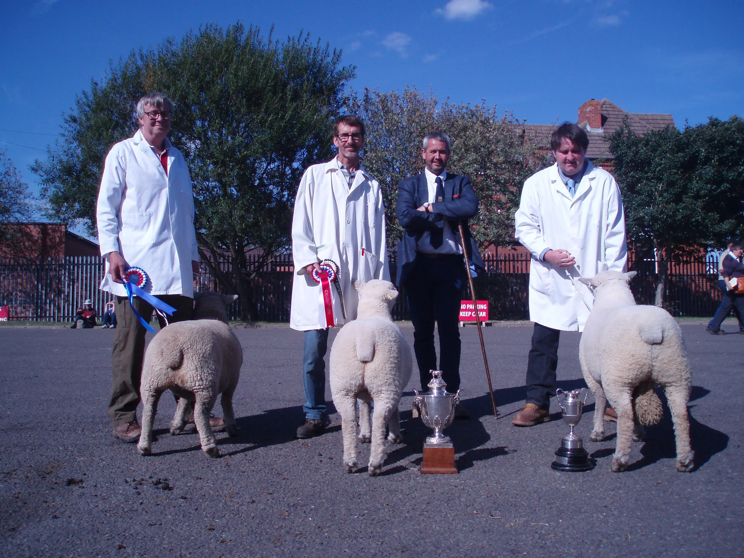 Judge Jonathan Long with the champions: left to right: P Goldsworthy’s shearling ewe, D, S & P Humphrey’s shearling ewe and shearling ram.