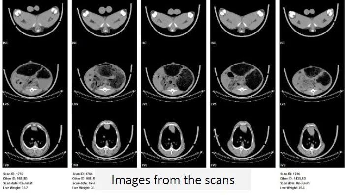 Images-scans.jpg