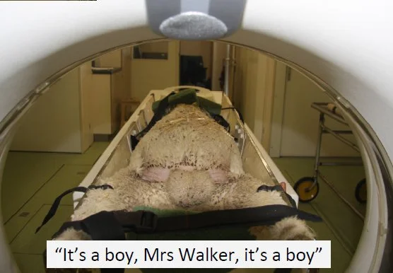 Its-a-boy.jpg
