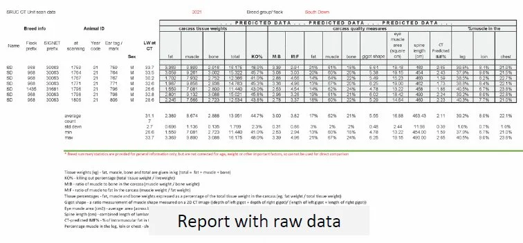 Report-Raw-Data.jpg