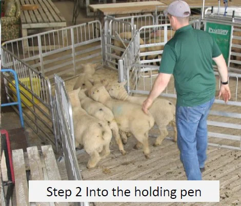 Step2.jpg