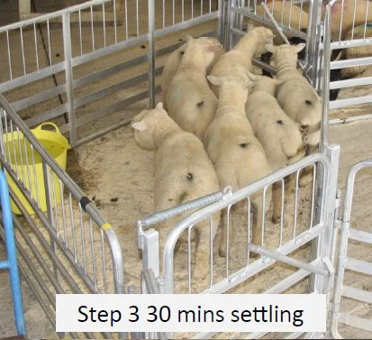 Step3.jpg