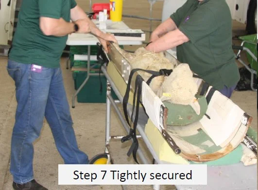 Step7.jpg