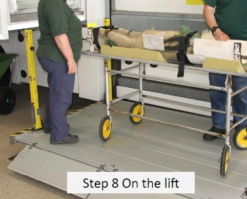 Step8.jpg