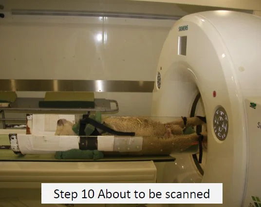 Step10.jpg
