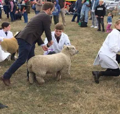 The Joys of Sheepkeeping - A Young Person's View