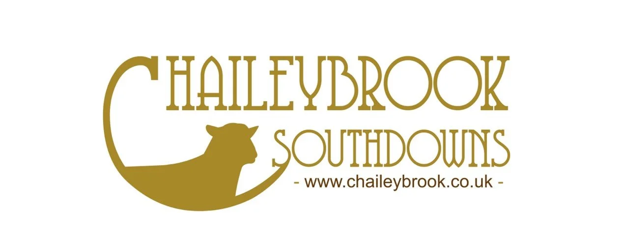Records smashed at Chaileybrook Platinum Celebration Sale