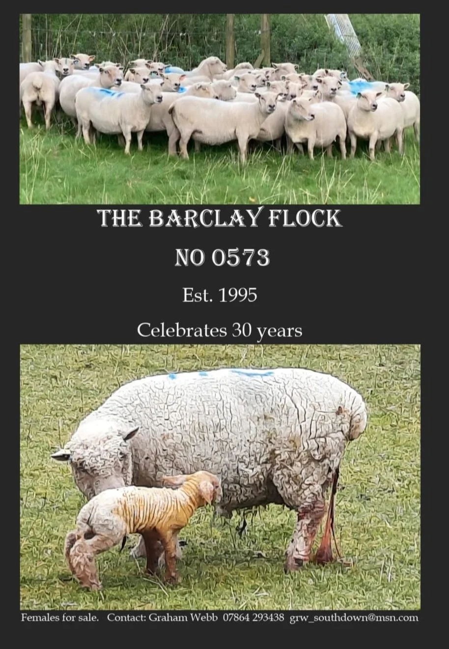 Ryves webb advert final.jpg