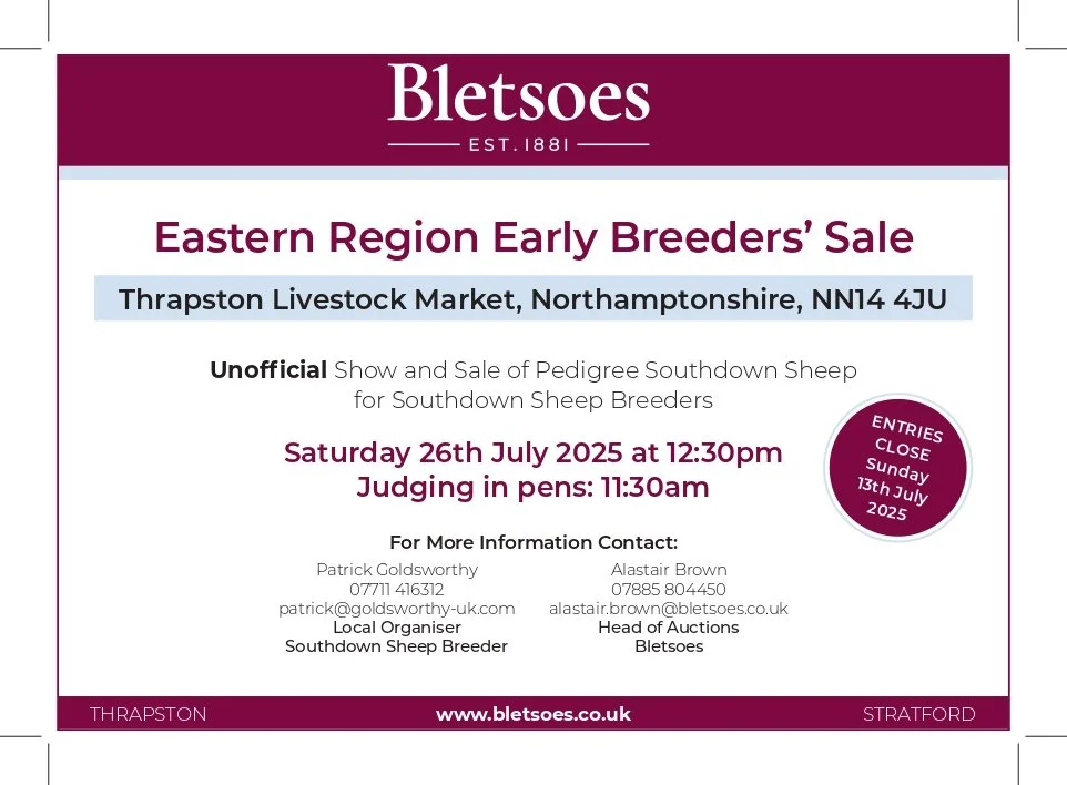 advert - half page - BLETSOES_page-0001.jpg