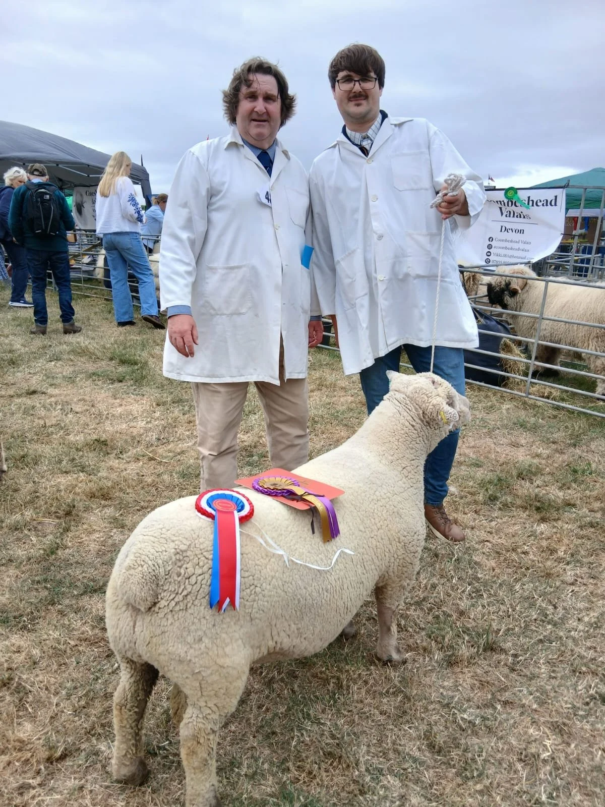 Honiton Show champion - D S & P Humphrey