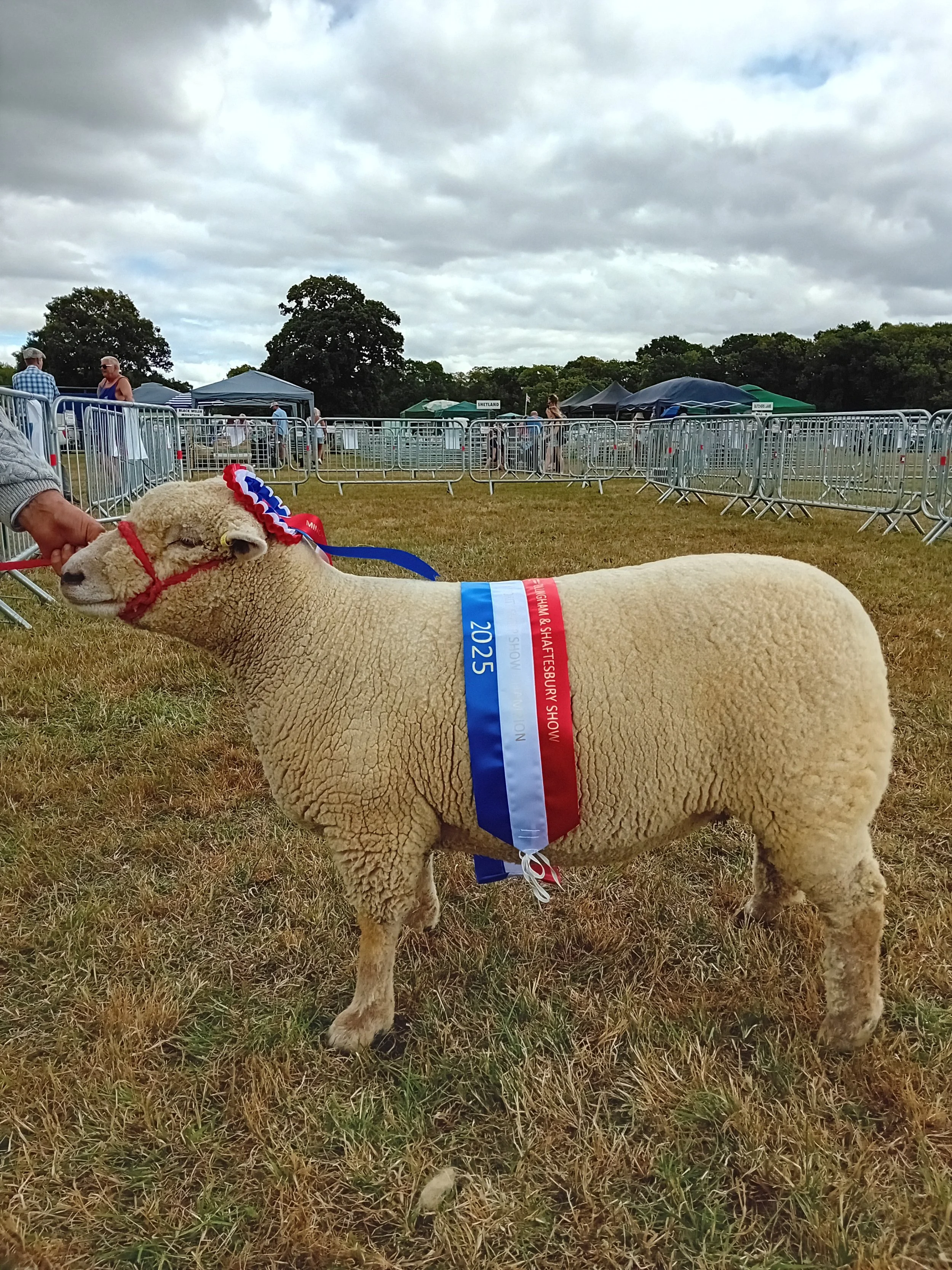 Gillingham & Shaftsbury Show champion - Phil Tucker