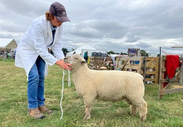 Wayland Show champion - A Readhead-Higgins
