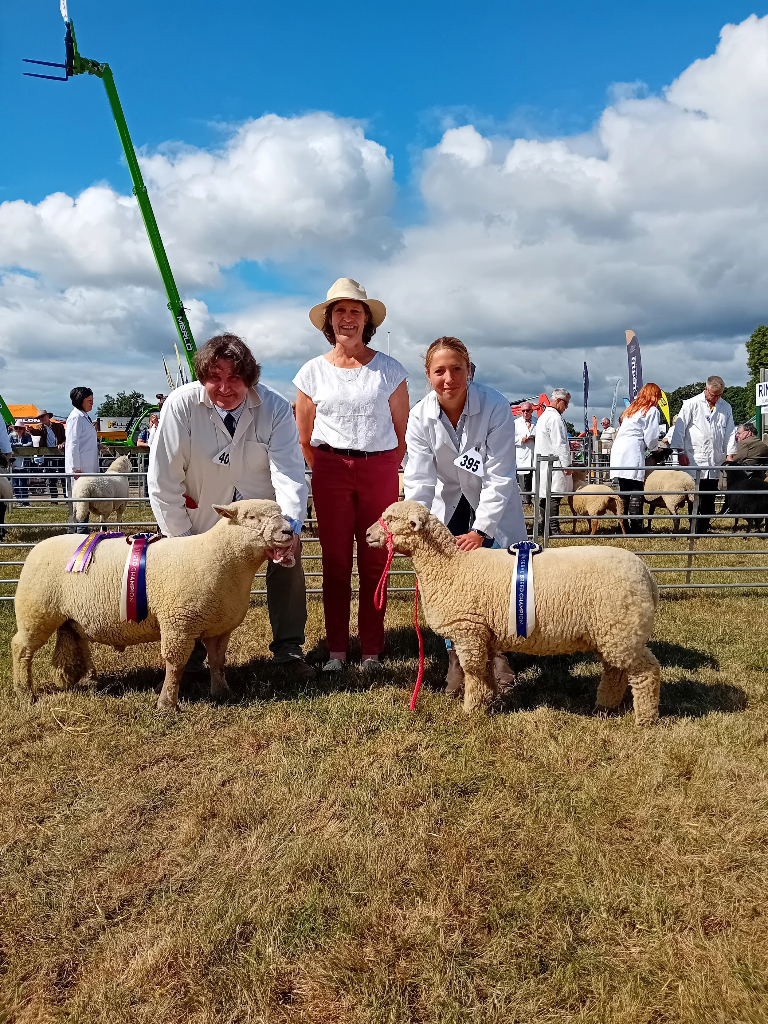 New Forest Show champion - D S & P Humphrey