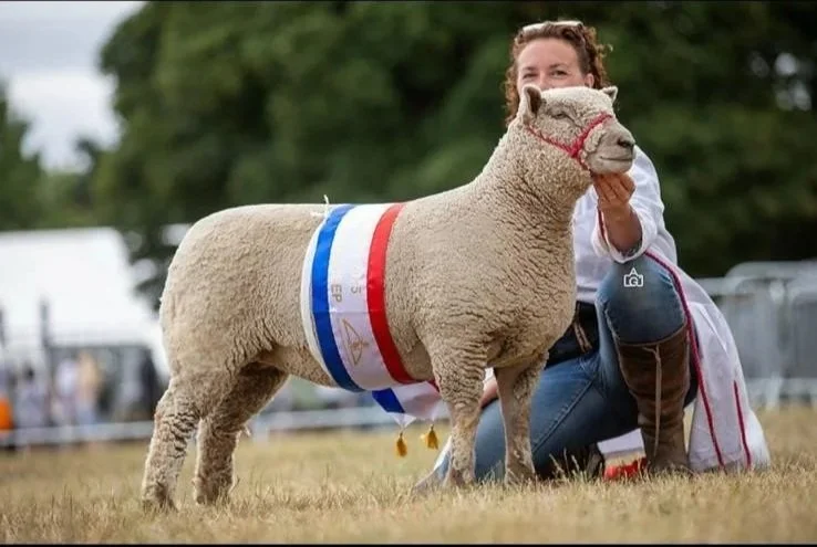 Supreme Champion at Kent Show