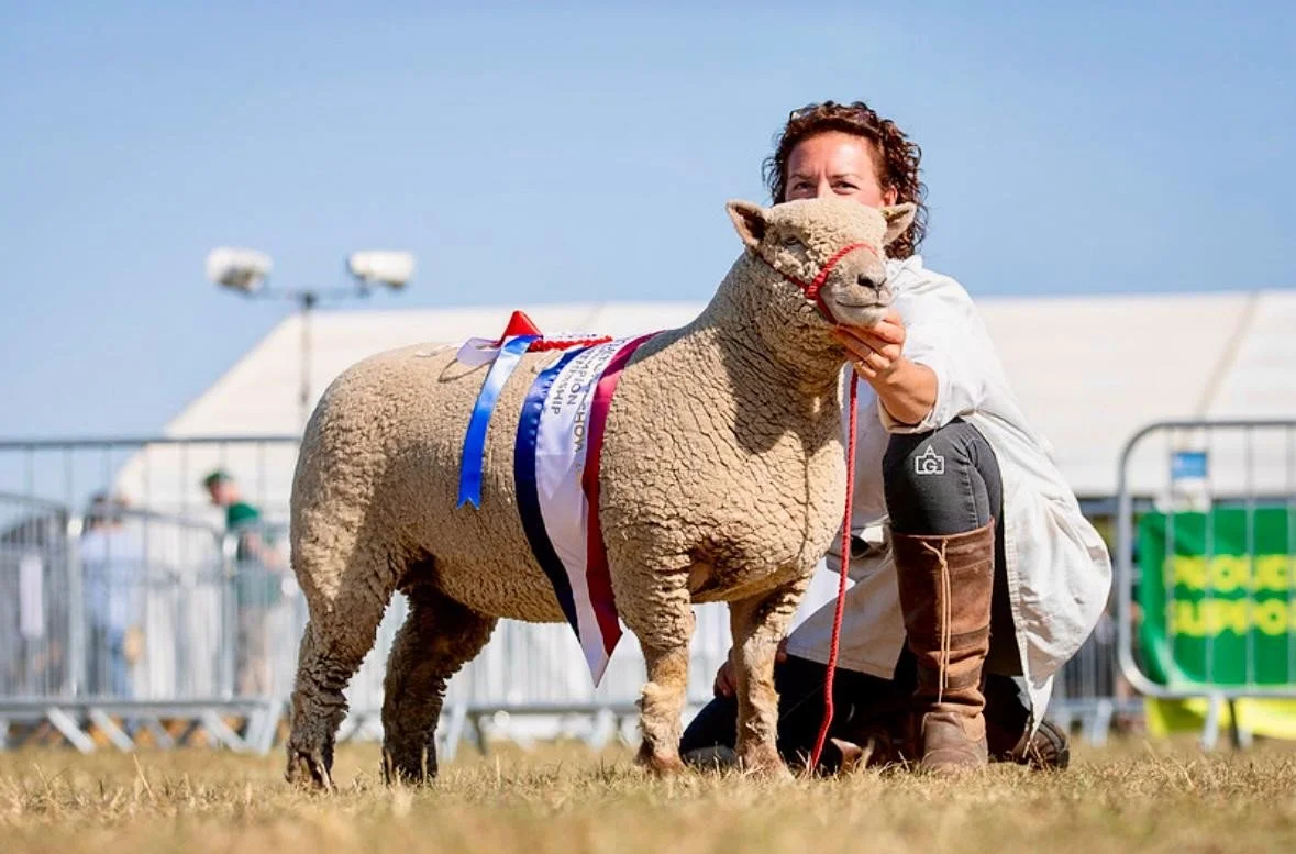 Supreme Champion at Edenbridge and Oxted Shows