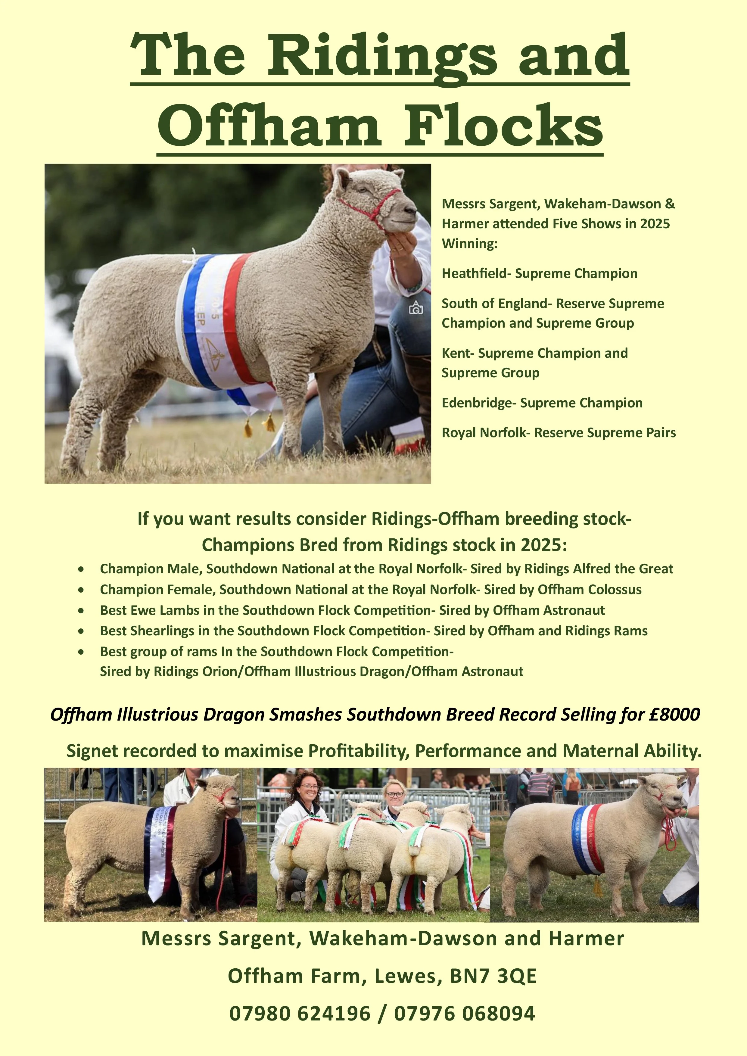 ADVERT - WDH - FULL PAGE.jpg