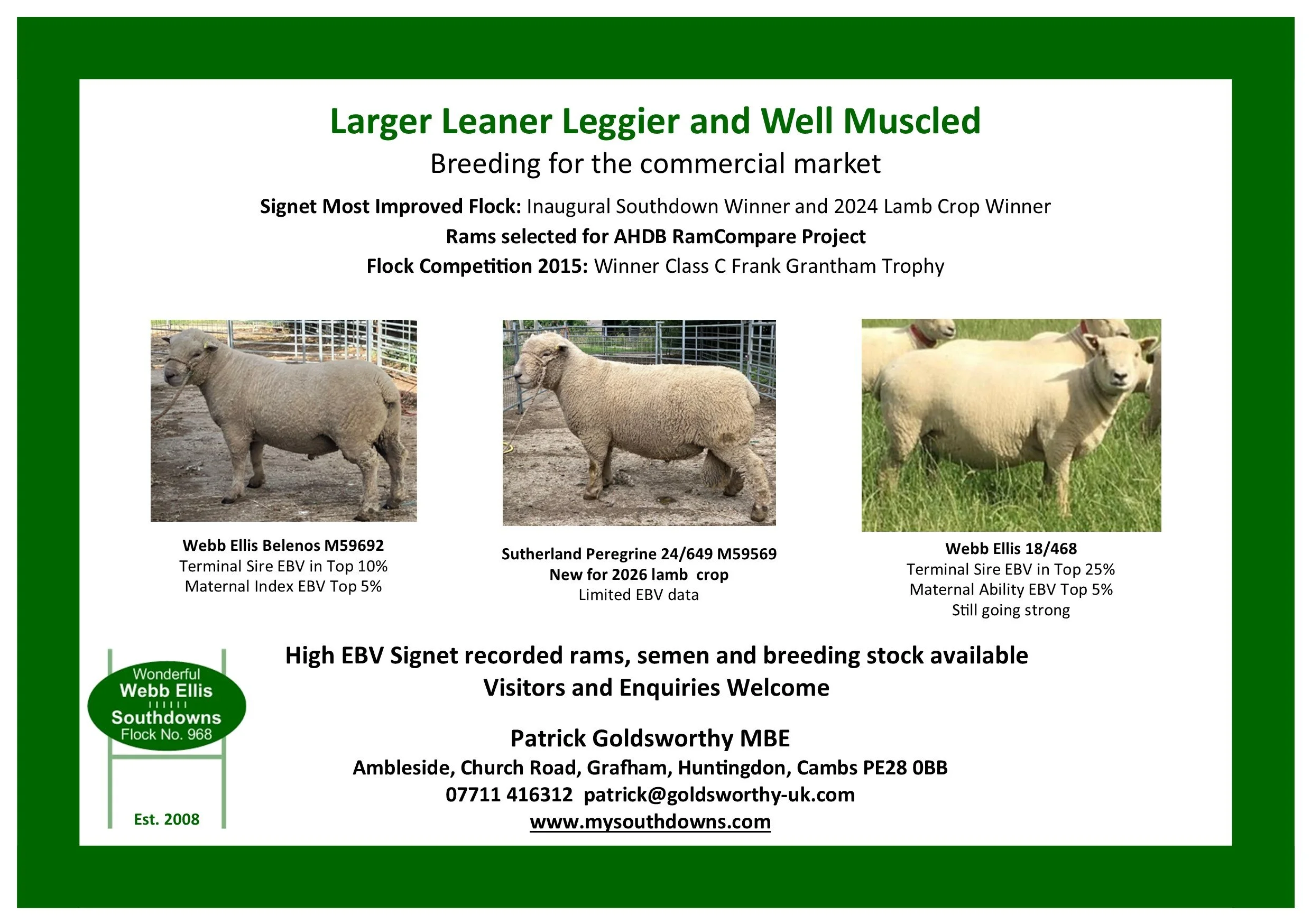 ADVERT - WEBB ELLIS - HALF PAGE.jpg