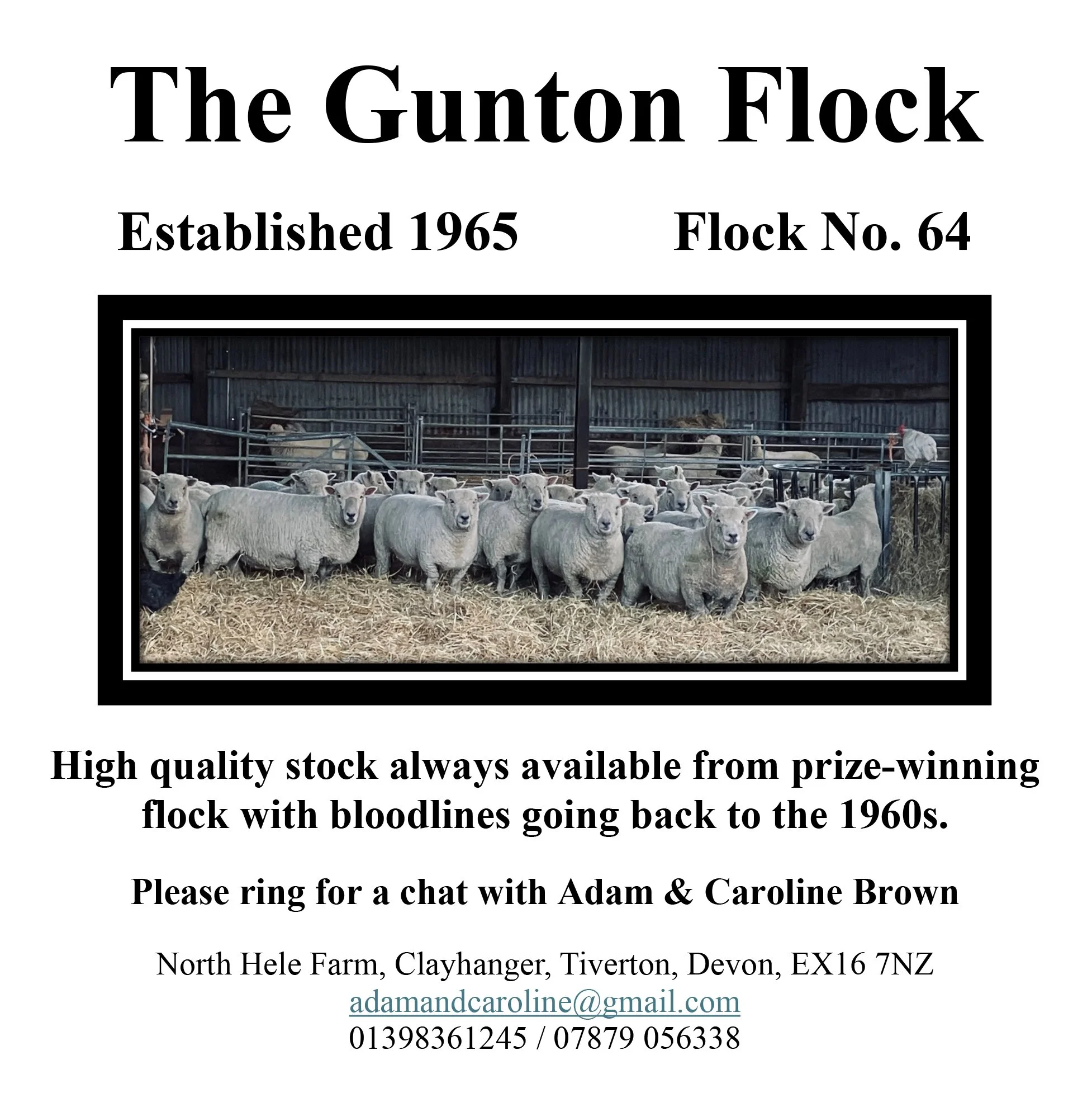 ADVERT - GUNTON - HALF PAGE.jpg
