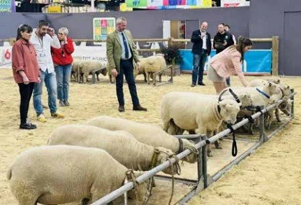 Family Affair for Paris Judges
