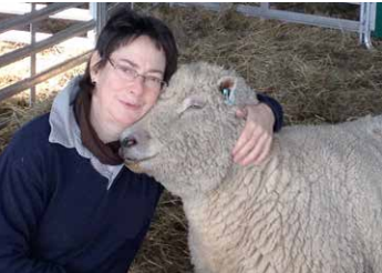 One Bourne into every Southdown Flock