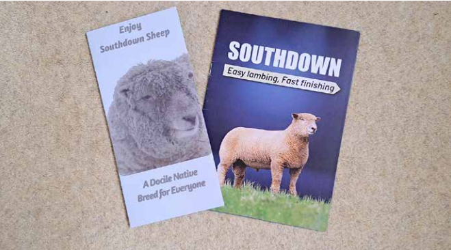 Promoting the Southdown