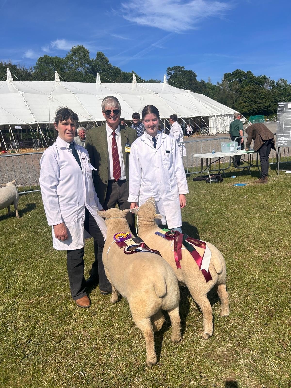 Devon County Show champion - A & C Brown.jpg