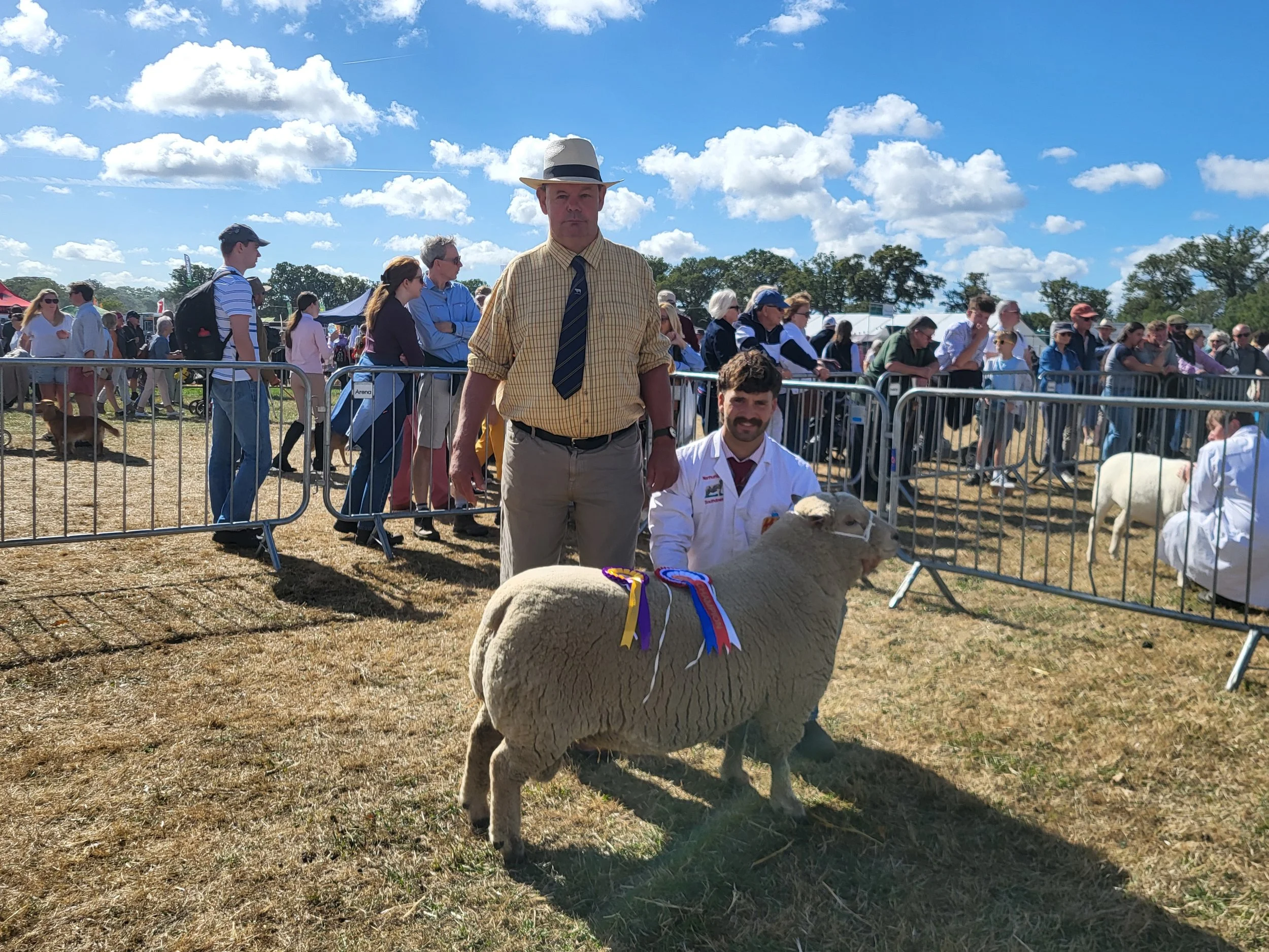 Moreton Show champion.jpg